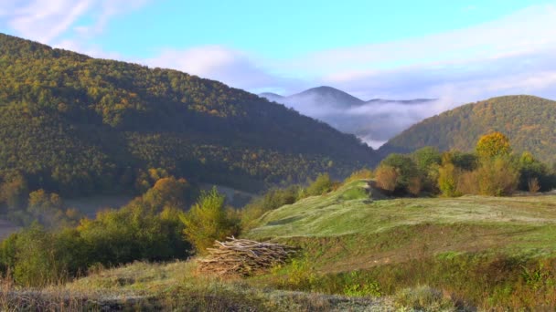 Immergrüne Wälder an Berghängen umhüllt von tief hängenden Wolken für eine traumhafte Landschaft, — Stockvideo