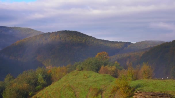 Vroege ochtend landschap van frisse sfeer met etherische mist — Stockvideo