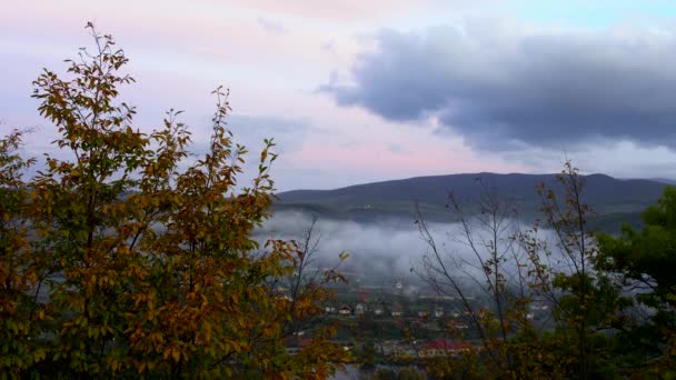 Nevoeiro que cobre as florestas de montanha na Ucrânia — Vídeo de Stock