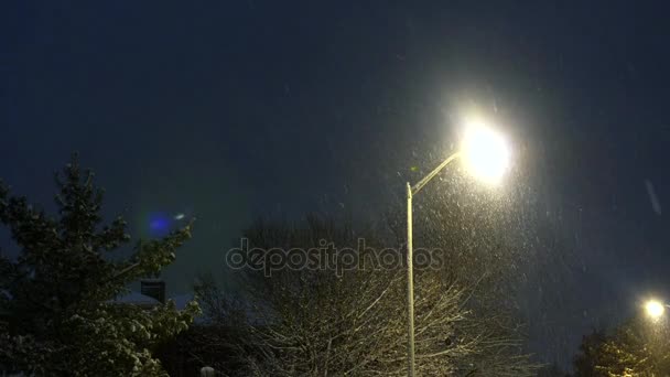 Sotto il cielo azzurro, la collina innevata vi invita a passeggiare tra gli alberi innevati che costeggiano le foreste di abeti imbiancati . — Video Stock