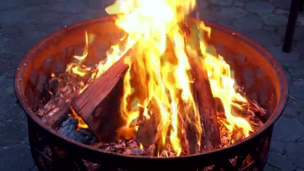 Burning grass on a black background — Stock Video