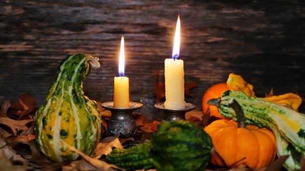 Hösten thanksgiving inredning med ljus och pumpa — Stockvideo