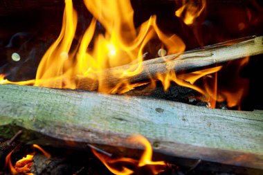 Alevler ve parlayan kömür Barbekü, ahşap parçaları ile sıcak turuncu şenlik ateşi yanan