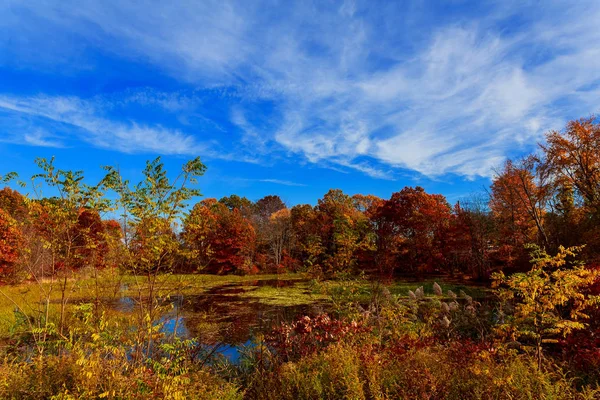 Bunte Blätter Bäumen Entlang Des Sees Herbst Herbstseehimmel Bild — Stockfoto