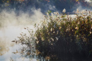 Sis sis peyzaj göl sonbahar sonbahar canlı renkler ile üzerinde