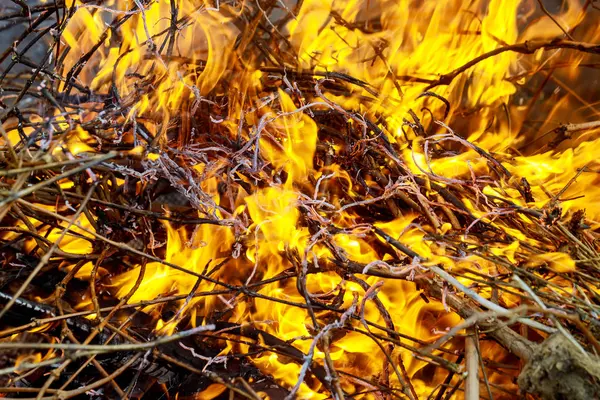 Queimar Fogo Fogo Chama Fumaça Conceito Aquecimento Global Fogo Grama — Fotografia de Stock