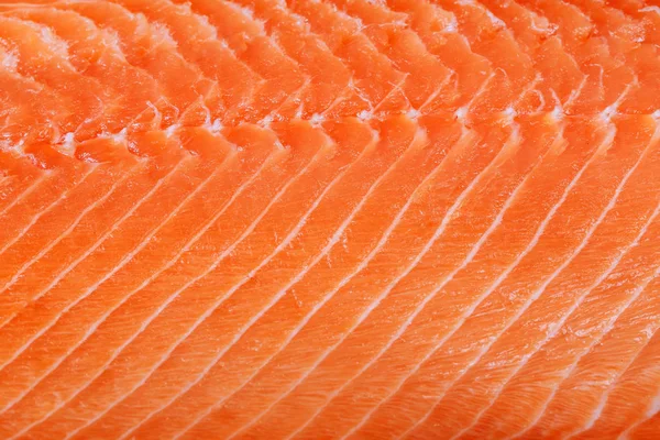 Fundo de filé de salmão fresco — Fotografia de Stock