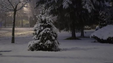 Damla yağmur ve kar Otomotiv Cam, cam arabanın üzerinde. Kar ormanları ile kaplı.
