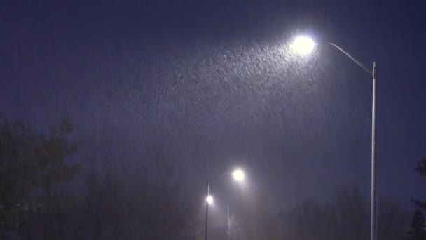 Snö faller mot bakgrund av lyktstolpe på natten. Natt vinter gatlykta med fallande snö. — Stockvideo