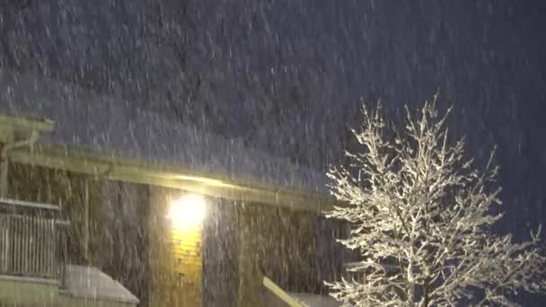 Sneeuw valt in de nacht in de straat met lantaarns. — Stockvideo