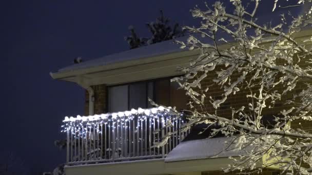 Neige dans la nuit, Chute de neige à Noël, Vue d'hiver — Video