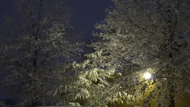 Снег продолжает падать на недавно вспаханные стоянки во время снежной бури — стоковое видео