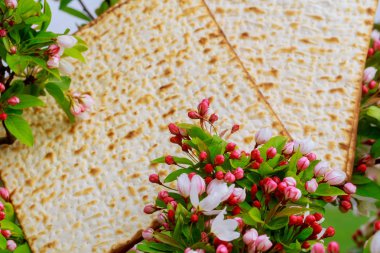 Closeup of Passover Matzah background matzoh over wooden table. clipart