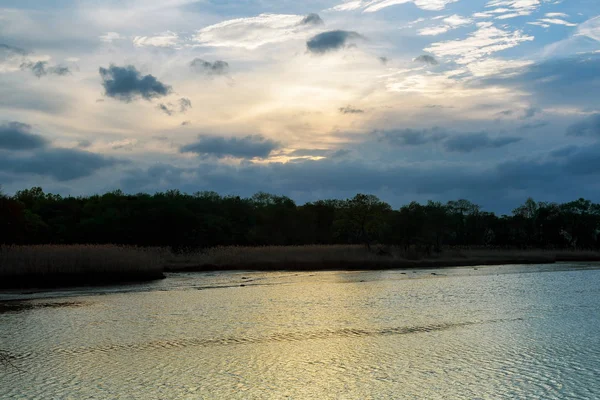 Orman göl temiz soğuk su ile.