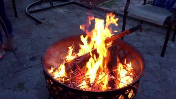 Kamp ateşi için yangın gece akşam vurdu. Yanan odun. Portakal yangın — Stok video