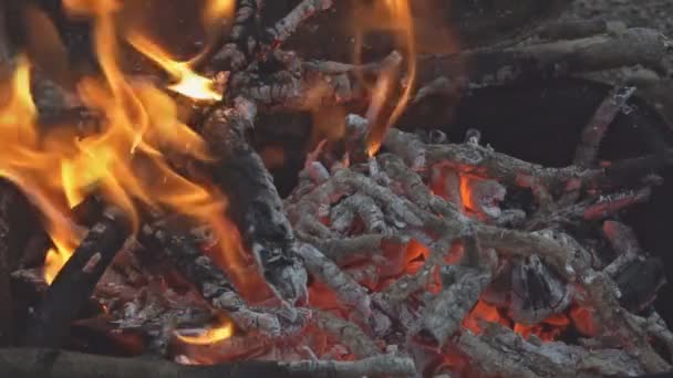 Hermoso primer plano de fuego del campamento de vídeo de madera de haya chimenea llena de madera y fuego Lento MOCIÓN hd video — Vídeos de Stock