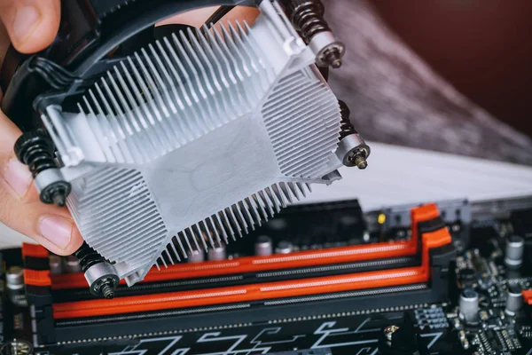 Le mani del tecnico installano ventilatore del dispositivo di raffreddamento della CPU su una scheda madre del computer Bitcoin mineraria criptovaluta con piattaforme GPU . — Foto Stock