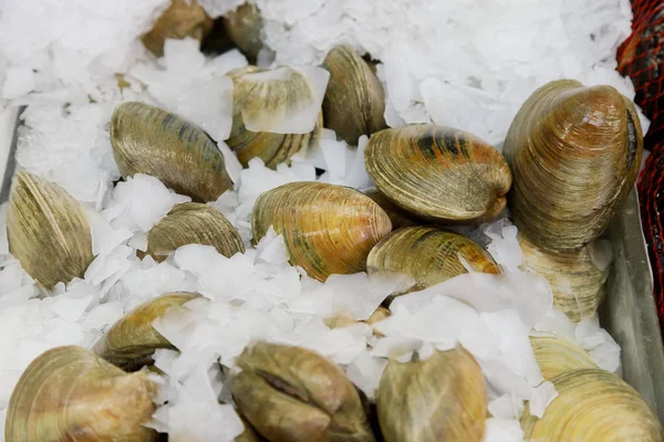 Los mejillones son hielo negro en el mercado en NYC Flat Lay. Vista superior . — Foto de Stock