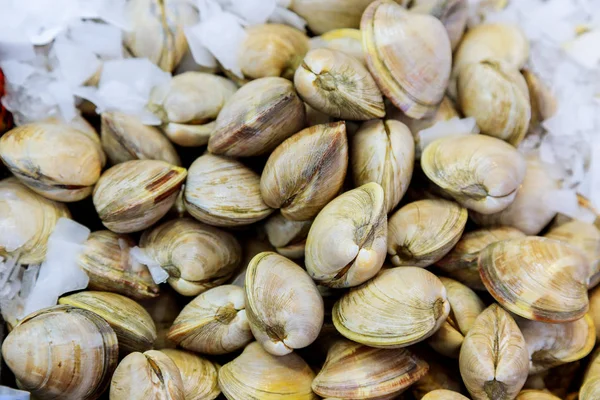 Océano Atlántico mejillones recién capturados en el mercado de pescado. Mercado de mariscos frescos Cocina regional, alimentos naturales saludables — Foto de Stock