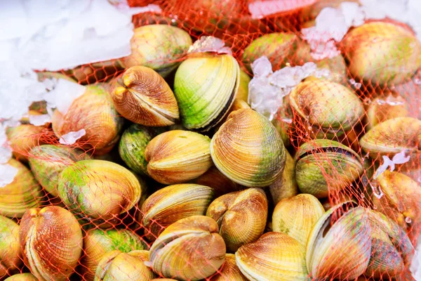 Fondo de mejillones: mariscos frescos en el mercado — Foto de Stock