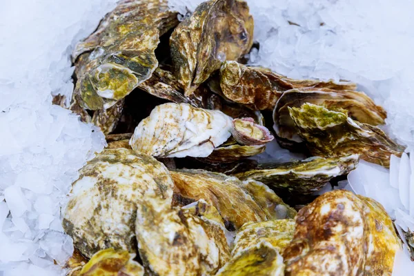 Ostras frescas crudas en un mercado de pescado — Foto de Stock