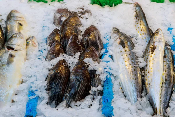 Peces frescos en un mercado —  Fotos de Stock