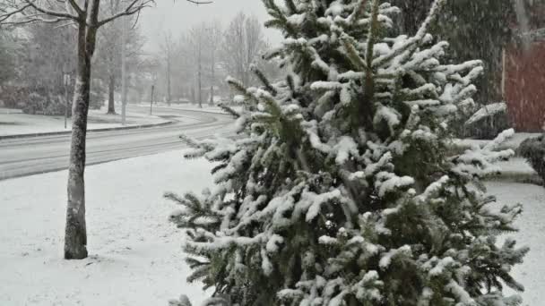 降雪是在院子里的睡袋区，涵盖与雪停放好的车辆. — 图库视频影像