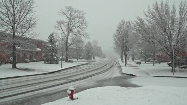 Pedoni e traffico si spostano lungo la strada durante una tempesta di neve a Carroll Gardens, Brooklyn . — Video Stock