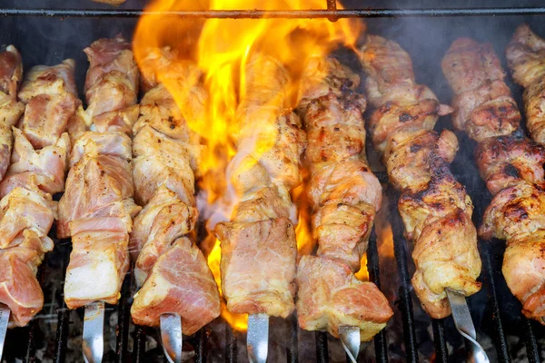 Shish Kebab Con Mezcla Especias Barbacoa Cocinar Carne Fuego Vista —  Fotos de Stock
