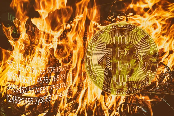burning with orange flame of cryptocurrency mining Dual mining Gold Bitcoin cryptocurrency mining by using the GPUs