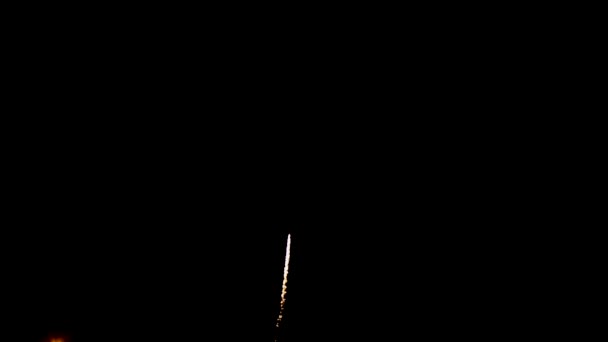 Blaues buntes Feuerwerk auf schwarzem Hintergrund — Stockvideo