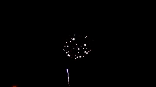 Fuochi d'artificio luminosi rossi bianchi e blu contro la notte — Video Stock