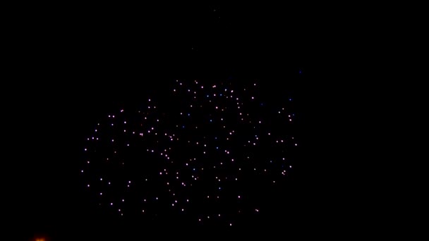 Fuochi d'artificio colorati nella notte — Video Stock