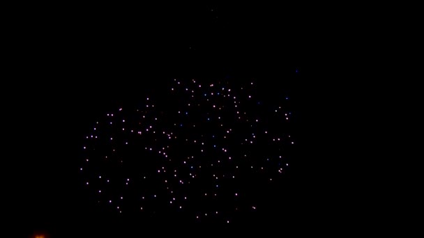 Feux d'artifice colorés dans la nuit — Video