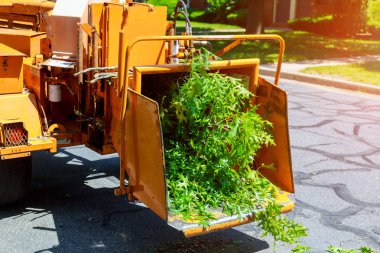 A tree chipper or wood chipper is a portable machine used for reducing wood into smaller wood chips blowing tree branches cut up into the back of a truck. clipart