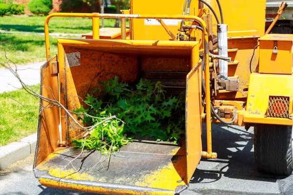 Sebuah Kayu Industri Tempat Kerja Chipper Bertiup Cabang Pohon Dipotong — Stok Foto