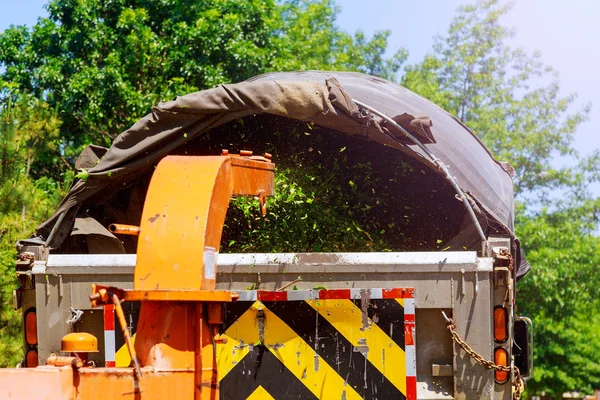 Broyeur Déchiqueteuse Bois Soufflant Des Branches Arbres Coupées — Photo