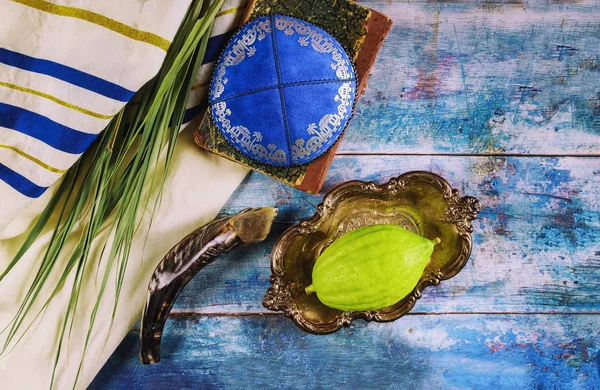 Jüdisches rituelles Sukkot-Fest im jüdischen religiösen Symbol etrog, lulav, hadas, arava tallit Gebetbuch Kippa und Shofar — Stockfoto