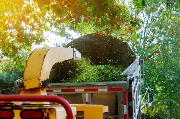 Wood chipper in chipper mulcher chips into the back of a truck. — Stock Photo, Image