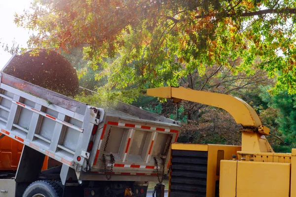 Broyeur à bois soufflant branches d'arbre couper une machine portable utilisée pour réduire le bois en plus petits copeaux de bois . — Photo