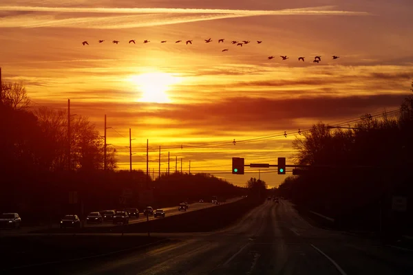 Автомобілі, що рухаються по дорозі вранці, вид на трафік з транспортними ліхтарями — стокове фото
