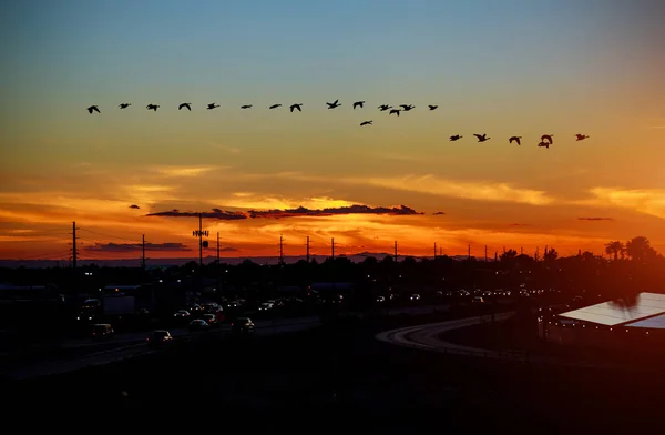 Caminho até a estrada que mede o nascer do sol da manhã — Fotografia de Stock