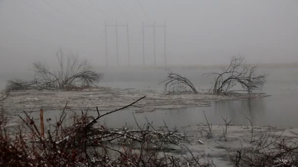 Orman nehri ile kış manzarası. — Stok video