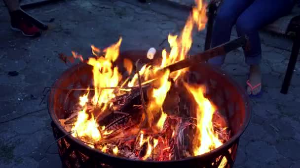 Fogueira acampamento fogo verão queima pinhas Close-up de chama de fogueira brilhante na natureza à noite . — Vídeo de Stock