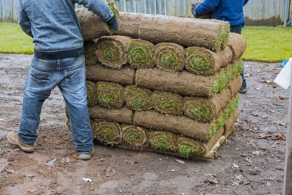 Nuevos rollos de césped de césped fresco listo para ser utilizado para la jardinería — Foto de Stock