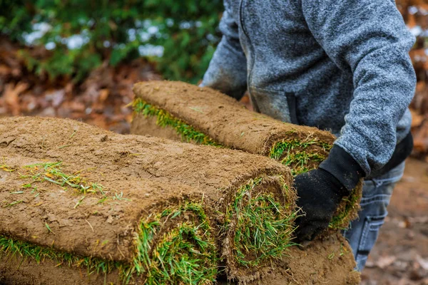 Gardener installing natural grass turf professional installer beautiful lawn field. — Stock Photo, Image