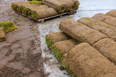 Palet yeni çimenler için istiflenmiş çim ruloları, çim kurulumu.