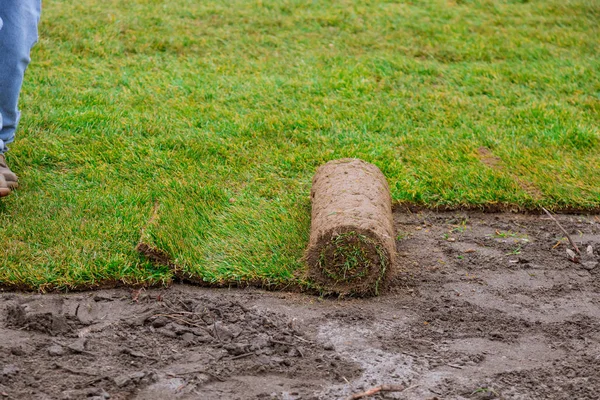 Nowe rolki trawników z trawy świeżej gotowe do wykorzystania w ogrodnictwie — Zdjęcie stockowe