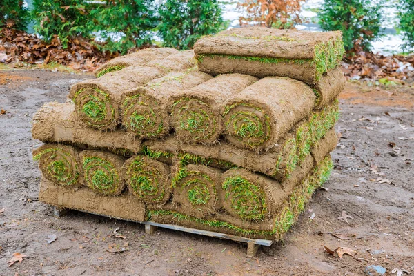 Stack of turf grass rolls for a lawn fresh grass to decorate landscape design — Stock Photo, Image