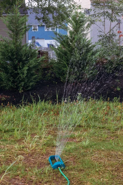 Oszillierende Sprinklerbewässerung liefert Bewässerungsgarten — Stockfoto